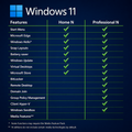 Windows 11 Editionen im Vergleich – Home N & Professional N