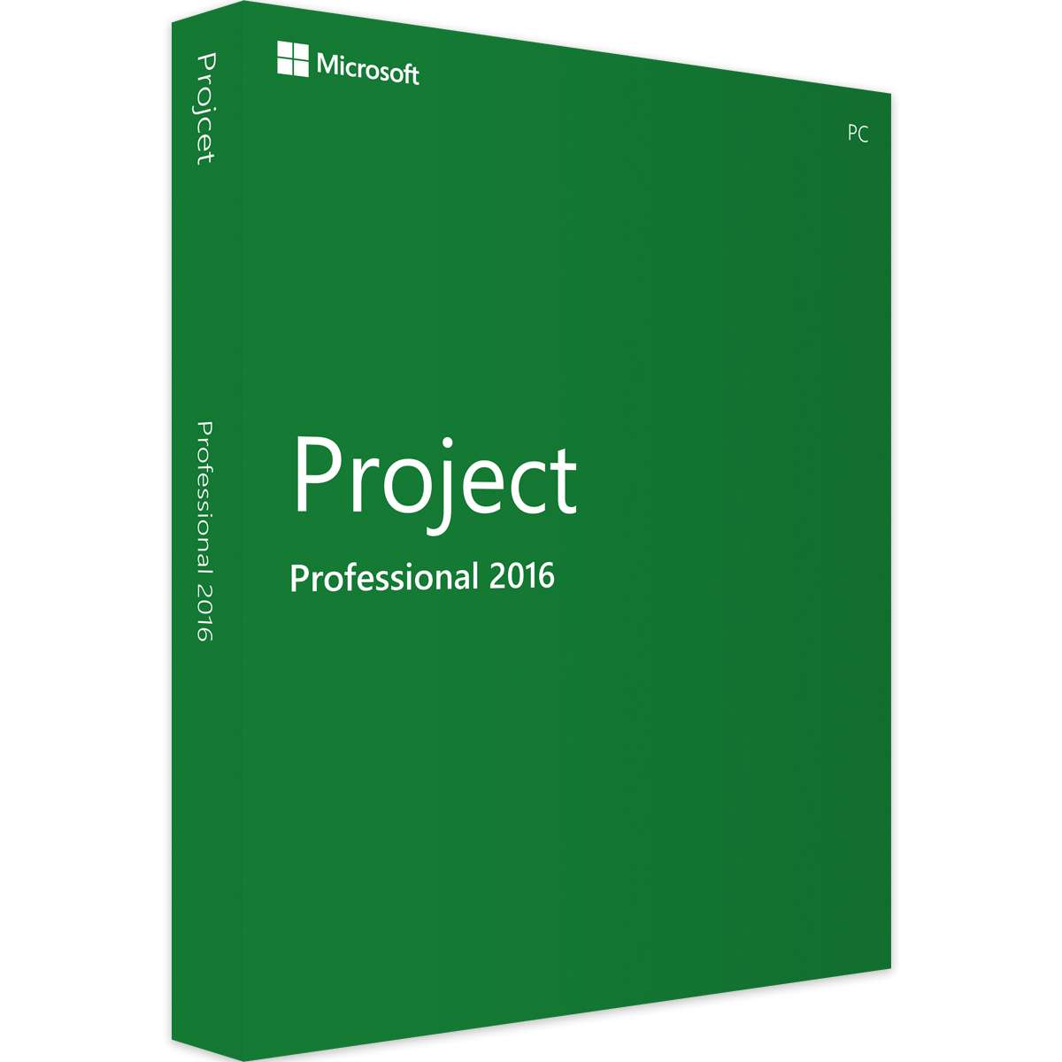 Microsoft Project Professional 2016 | Bind | Windows | 1 PC