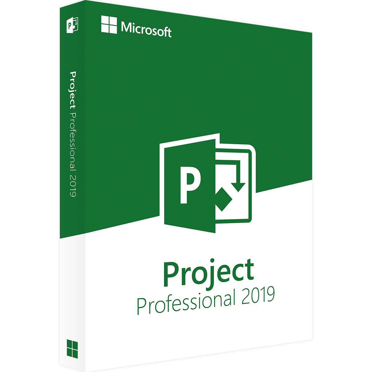 Microsoft Project Professional 2019 | Retail | Windows | 1 PC