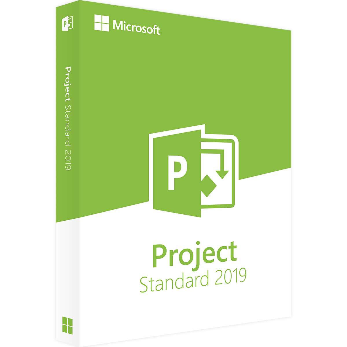 Microsoft Project Standard 2019 | Retail | Windows | 1 PC